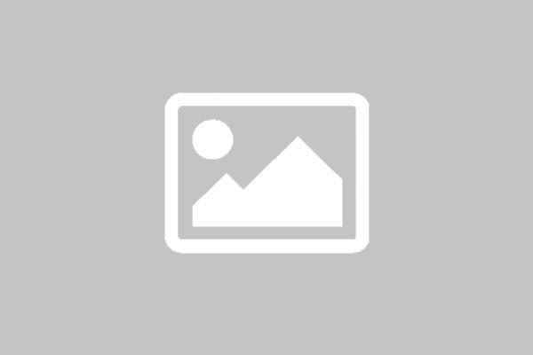 Logo (espace réservé)